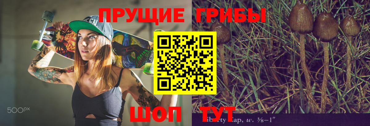 Псилоцибиновые грибы GOLDEN TEACHER  Псилоцибиновые грибы GOLDEN TEACHER  Берёзовский 