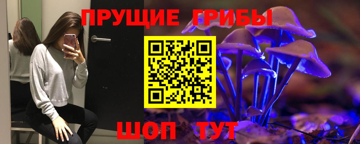 Псилоцибиновые грибы прущие грибы Берёзовский