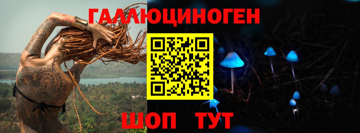 Галлюциногенные грибы мицелий Берёзовский